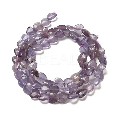 Natural Lepidolite/Purple Mica Stone Beads Strands G-P575-C01-6mm-1
