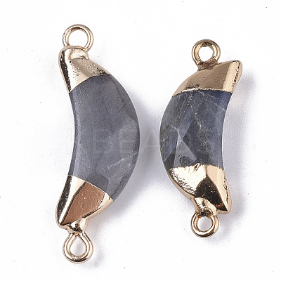Natural Labradorite Links connectors G-S359-054A-1