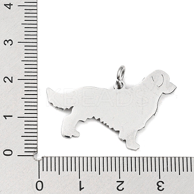 Non-Tarnish 304 Stainless Steel Pendants X-STAS-E205-10P-1
