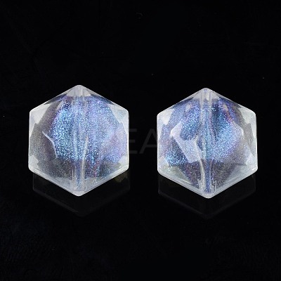 Transparent Acrylic Beads OACR-N008-074-1