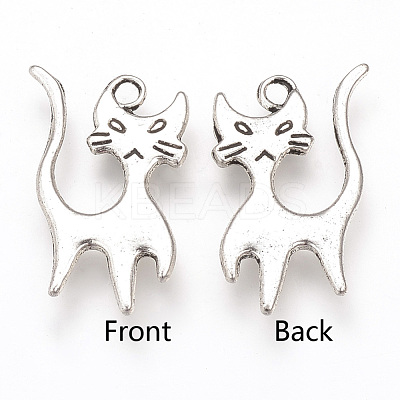 Tibetan Style Alloy Pendants TIBEP-T002-83AS-NR-1