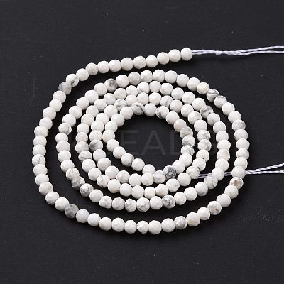 Natural Howlite Beads Strands G-H273-02A-1