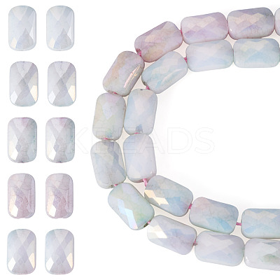 1Strand Anti-Tarnish Electroplate Glass Beads Strands GLAA-TA0003-99B-1