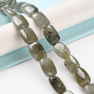 Natural Labradorite Beads Strands G-K357-D16-01-1