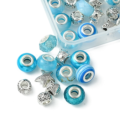 DIY Tibetan Style Alloy & Resin European Beads Making Finding Kits DIY-FS0006-78F-1
