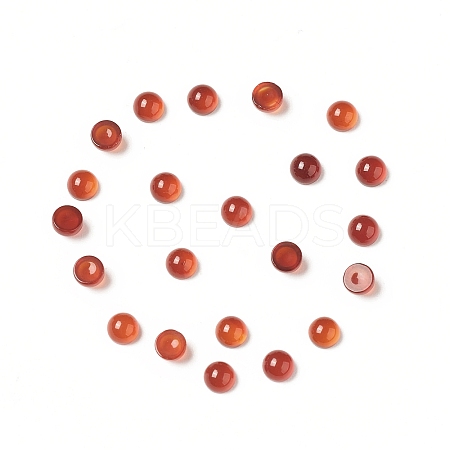 Natural Red Agate Cabochons G-G994-J01-01-1