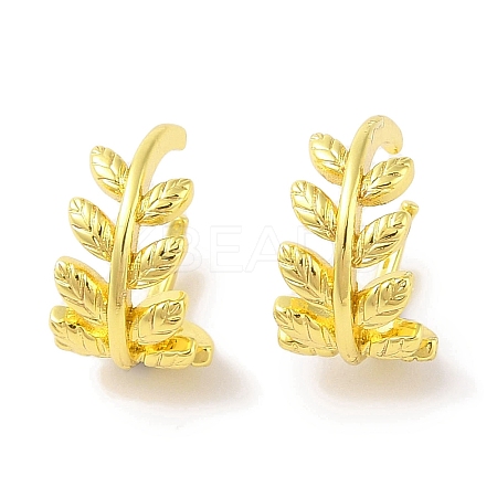 Leaf Brass Cuff Earrings for Women EJEW-I305-57G-1