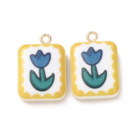 Printed Alloy with Acrylic Pendants AL-CBAE25B-02C-G-1
