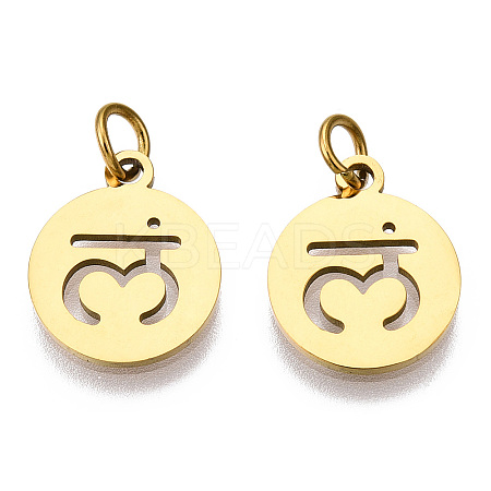 304 Stainless Steel Charms STAS-Q201-T446G-03-1