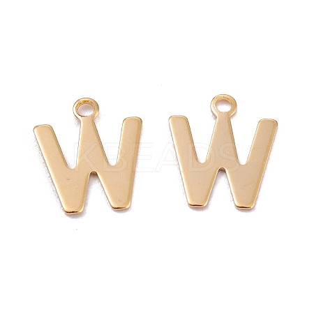201 Stainless Steel Charms LS-STAS-C021-06G-W-1