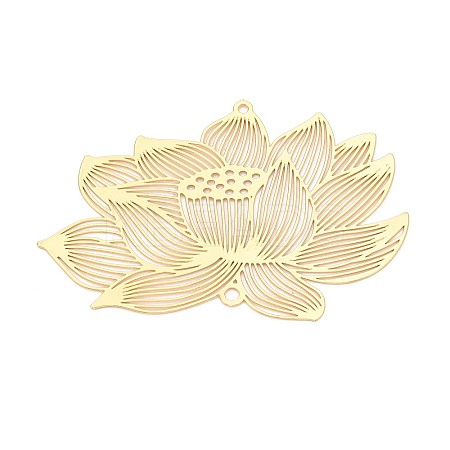 Iron Connector Charms IFIN-N013-02G-1