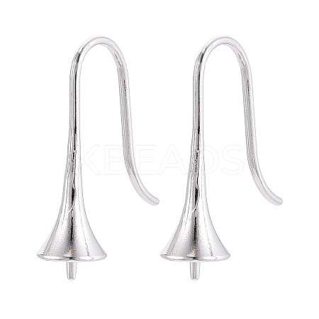 304 Stainless Steel Earring Hooks STAS-N108-30P-1