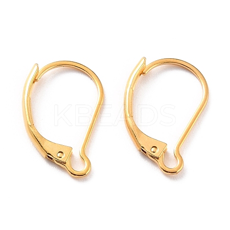 Ion Plating(IP) 304 Stainless Steel Leverback Earring Findings STAS-K233-04G-01-1