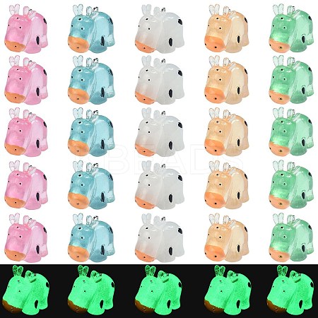 30Pcs 5 Colors Luminous Resin Pendants RESI-SZ0003-24-1
