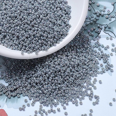 MIYUKI Round Rocailles Beads X-SEED-G007-RR0489-1
