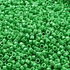 Baking Paint Glass Seed Beads SEED-S042-05A-28-3