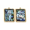 304 Stainless Steel & Natural Paua Shell Pendants SH-CBA7184-01J-G-1
