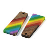 Pride Rainbow Theme Resin & Walnut Wood Pendants WOOD-K012-10B-2