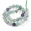 Natural Fluorite Beads Strands G-T140-19A-3