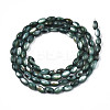 Natural Freshwater Shell Beads Strands X-SHEL-N003-25-B01-2