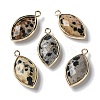 Natural Dalmatian Jasper Pendants G-B009-01G-B-1