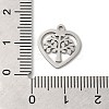 Non-Tarnish 201 Stainless Steel Charms LS-STAS-E206-06P-04-3