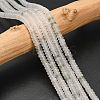 Natural Tianshan Cui Quartzite Beads Strands G-L635-A06-4x2mm-1