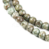 Natural Maifanite/Maifan Stone Beads Strands G-P451-01C-E-4