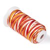 Segment Dyed Round Polyester Sewing Thread OCOR-Z001-B-06-2