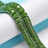 Natural Diopside Beads Strands G-F751-A02-01-2