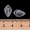 Transparent Acrylic Charms TACR-G050-02D-4