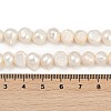 Natural Cultured Freshwater Pearl Beads Strands PEAR-P064-20C-01A-01-5