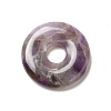 Natural Amethyst Pendants G-I331-01L-2