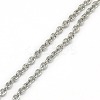 Trendy Unisex 304 Stainless Steel Cable Chain Necklaces NJEW-L043-16P-2