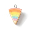 3D Rainbow Cake Resin Pendants LS-RESI-V002-01-1
