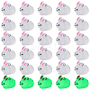 30Pcs Luminous Translucent Resin Pendants RESI-SZ0003-34-1