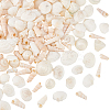 Natural Shell for Crafting Fish Tank Vase Fillers DIY-WH0002-98-1