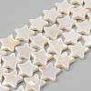 Electroplate Natural Freshwater Shell Beads Strands SHEL-T017-09B-1