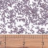 MIYUKI Delica Beads SEED-X0054-DB1064-4