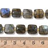Natural Labradorite Beads Strands G-L642-L02-10mm-5