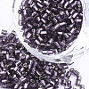 Grade A Glass Seed Beads SEED-S022-04A-10-1