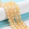 Dyed Natural Malaysia Jade Beads Strands G-G021-02A-11-2