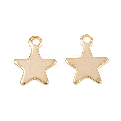 201 Stainless Steel Charms STAS-F039-04A-G-1