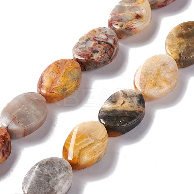 Natural Crazy Lace Agate Beads Strands G-M208-14-1