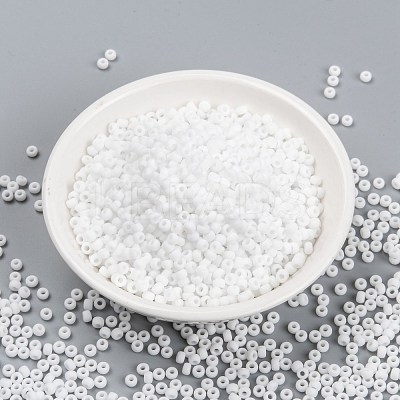 MIYUKI Round Rocailles Beads SEED-X0055-RR0402F-1