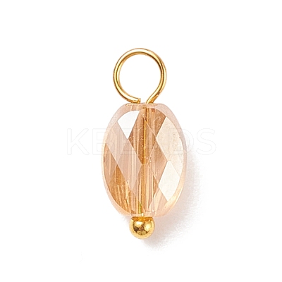 Electroplate Glass Pendants PALLOY-JF01541-02-1