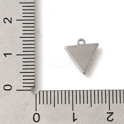 304 Stainless Steel Charms STAS-S144-01P-D-1