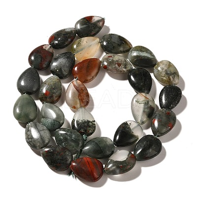 Natural African Bloodstone Beads Strands G-I377-A23-1