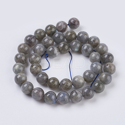 Natural Labradorite Beads Strands G-G212-10mm-23-1