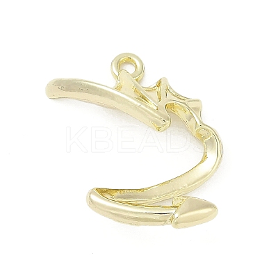 Alloy Pendants PALLOY-R151-14G-1